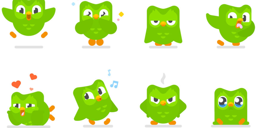  8 owls Duolingo